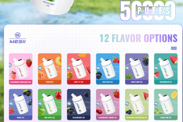 Disposable Vape Manufactur - BAE Vapor